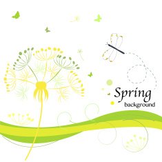 Abstract dandelion greeting card vector background N2