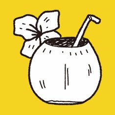 coconut milk doodle N6
