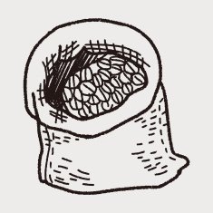 coffee bean doodle drawing N23