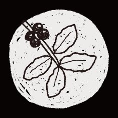 coffee bean fruit doodle N4