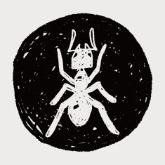 ant doodle N4