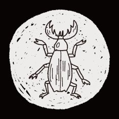 beetle doodle N27