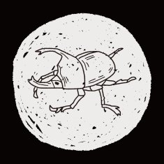 beetle doodle N29