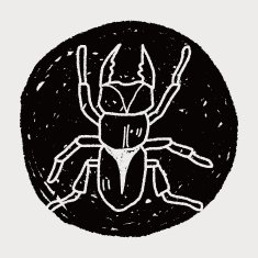 beetle doodle N30