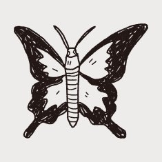 butterfly doodle N8