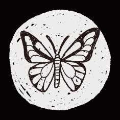 butterfly doodle N11