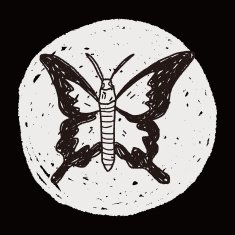butterfly doodle N12