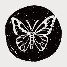 butterfly doodle N13