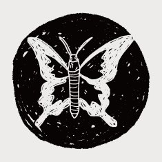 butterfly doodle N14