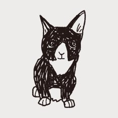 cat doodle drawing N53