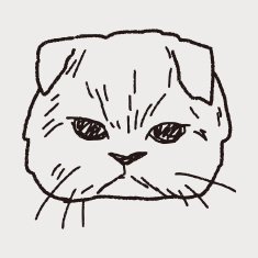 cat doodle drawing N55