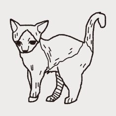 cat doodle drawing N56