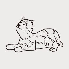 cat doodle drawing N63