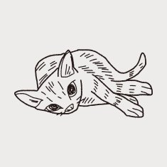 cat doodle drawing N65