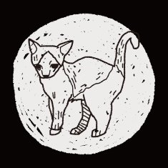 cat doodle drawing N94