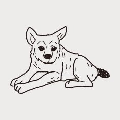 Dog doodle N41