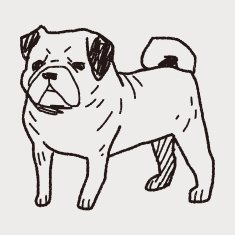 Dog doodle N45
