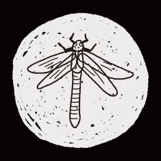 Dragonfly doodle N5