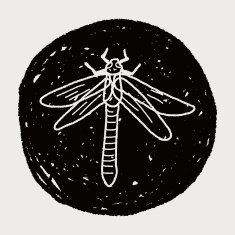 Dragonfly doodle N6