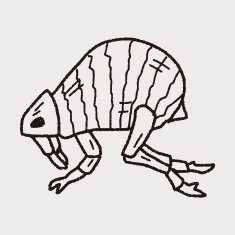 Flea doodle N2