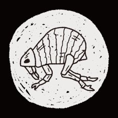 Flea doodle N4
