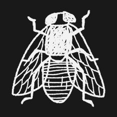 fly bug doodle N9