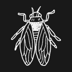 fly bug doodle N10
