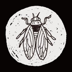 fly bug doodle N11
