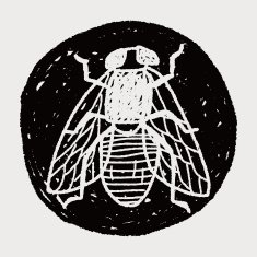 fly bug doodle N12