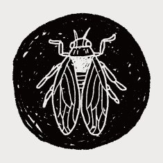 fly bug doodle N13