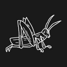 grasshopper doodle N7