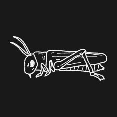grasshopper doodle N8