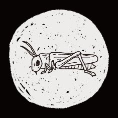 grasshopper doodle N9
