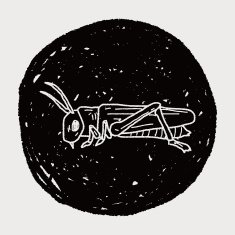 grasshopper doodle N11