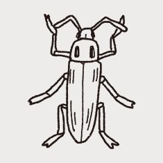 insect doodle N24