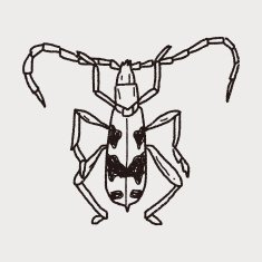 insect doodle N27