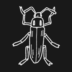 insect doodle N31