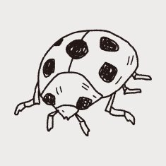 Ladybug doodle N8
