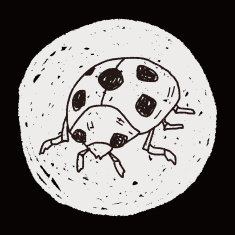 Ladybug doodle N12