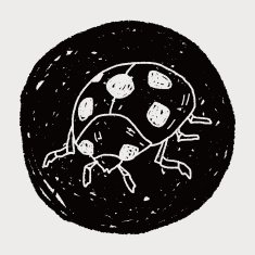 Ladybug doodle N14
