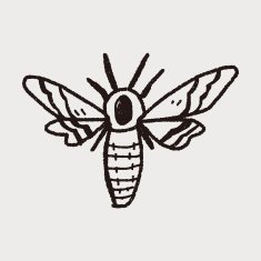 Moth doodle N4