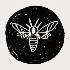 Moth doodle N7