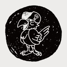 Parrot doodle N12
