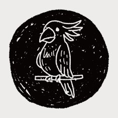 Parrot doodle N13