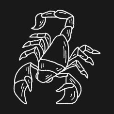 Scorpion doodle N5