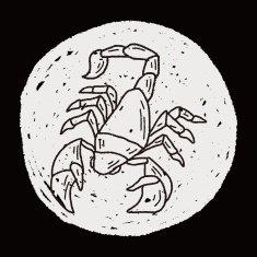 Scorpion doodle N6