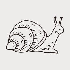 snail doodle N4