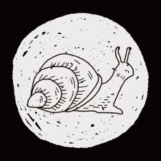 snail doodle N6