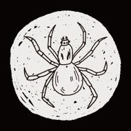 spider doodle N13