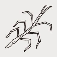 Stick insect doodle N3